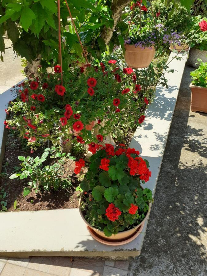 Zagorje Apartman Danijela מראה חיצוני תמונה
