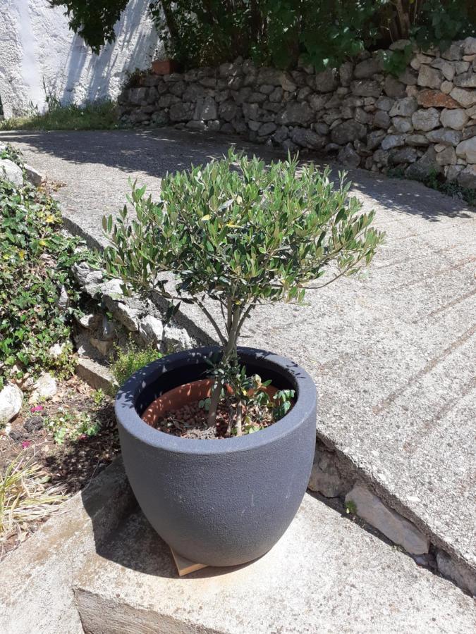 Zagorje Apartman Danijela מראה חיצוני תמונה