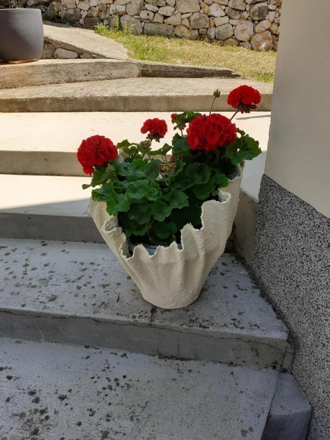 Zagorje Apartman Danijela מראה חיצוני תמונה