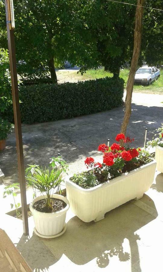 Zagorje Apartman Danijela מראה חיצוני תמונה