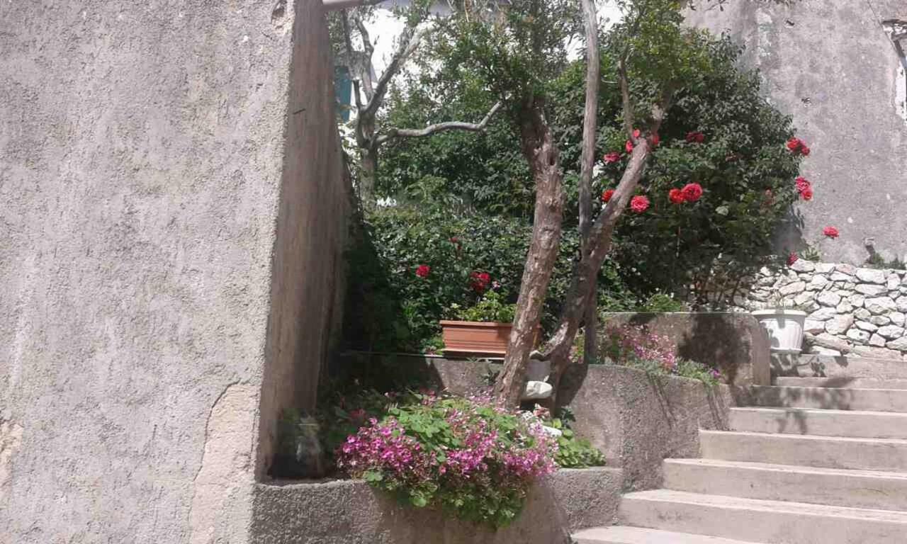 Zagorje Apartman Danijela מראה חיצוני תמונה