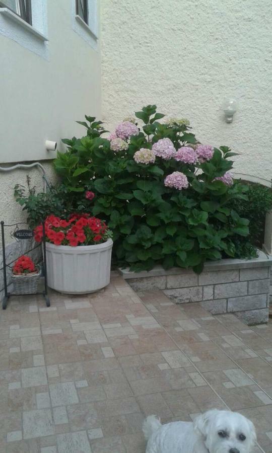 Zagorje Apartman Danijela מראה חיצוני תמונה